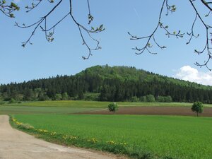 Foto des Lupfenberges im Sommer