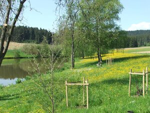 Foto des Talheimer Angelsees im Sommer