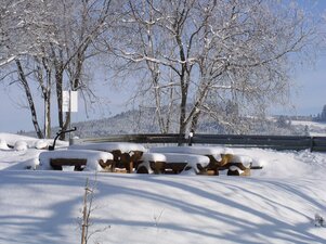 Foto von Parkbänken im Winter in der Nähe von Talheim